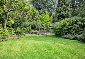 Optimiser l'expérience du jardin à Montvendre